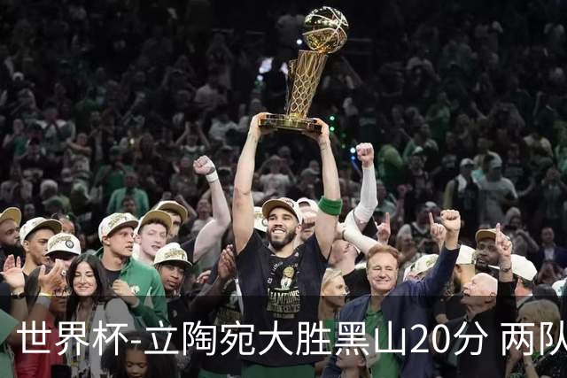 世界杯-立陶宛大胜黑山20分 两队携手晋级16强